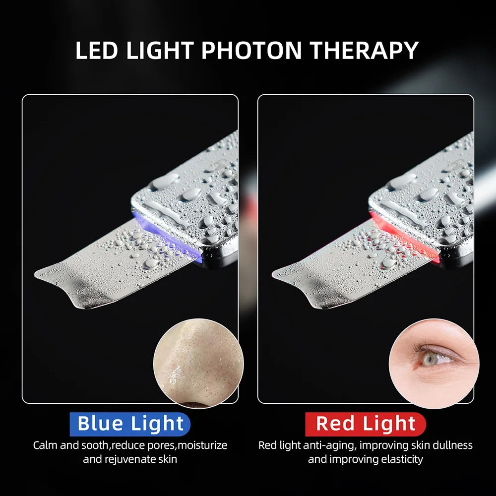 EMS Pulse Ion Face Skin Scrubber